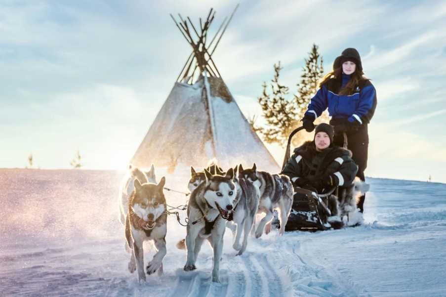 Husky safari, Finnish Lapland