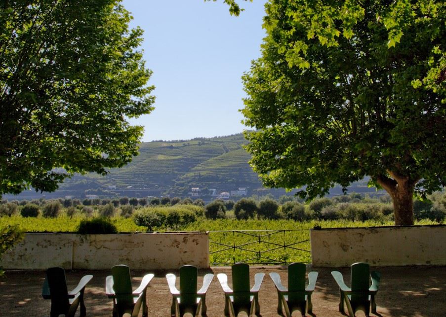 Quinta da Pacheca, Douro, Northern Portugal