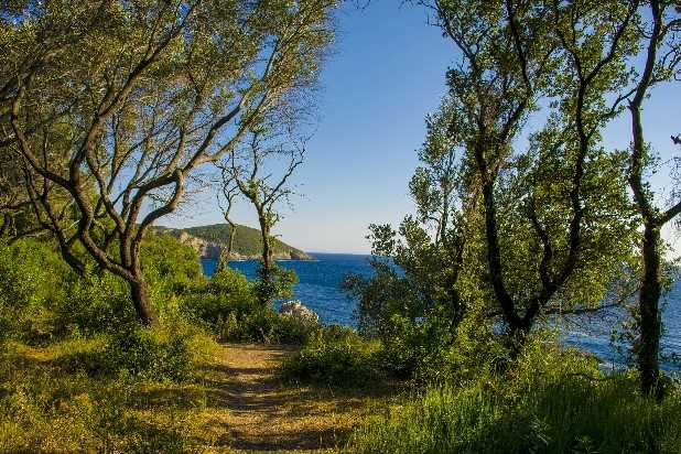 Corfu's natural beauty and walking trails