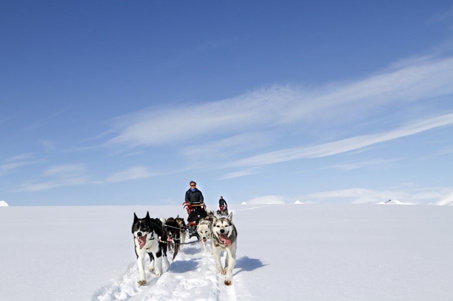 Dog sledding in Svalbard