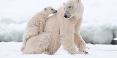 Svalbard, Norway