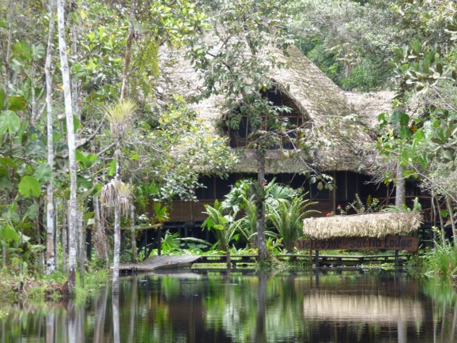 Sacha Lodge, The Amazon
