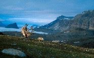 Longyearbyen, Svalbard