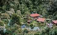 Trogon Lodge, San Gerardo de Dota