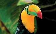 Costa Rica