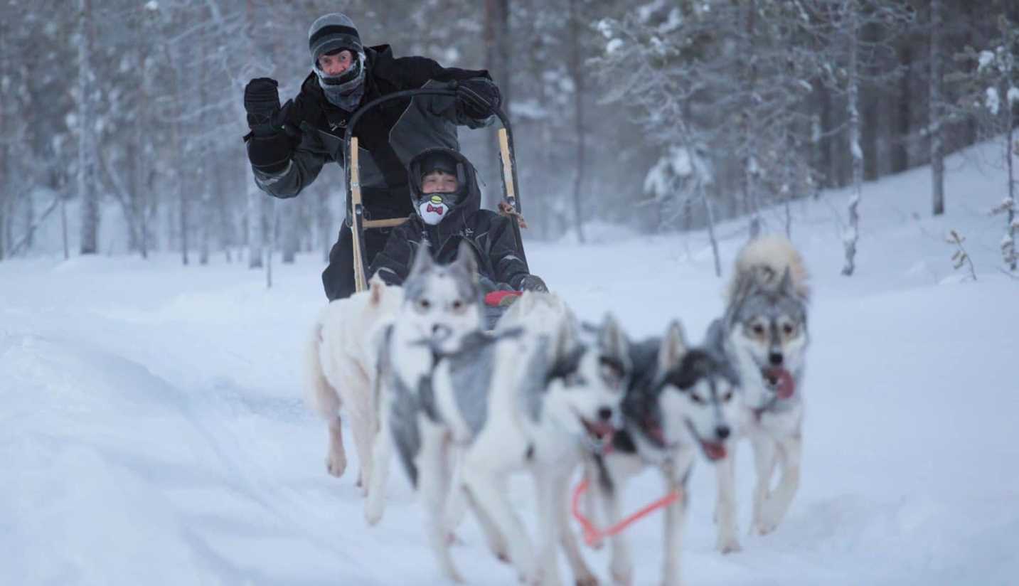 Husky dog ride at Iso Syote, Finland