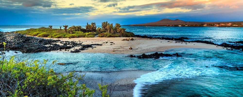 Galapagos Islands