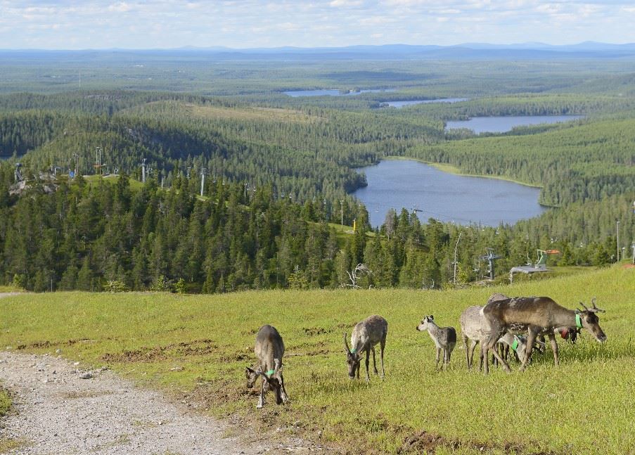 Northern Finland