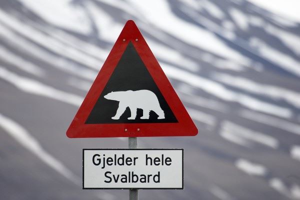 Warning sign polar bears, Svalbard