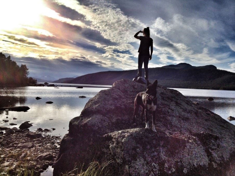 Hiking, Swedish Lapland, Sweden