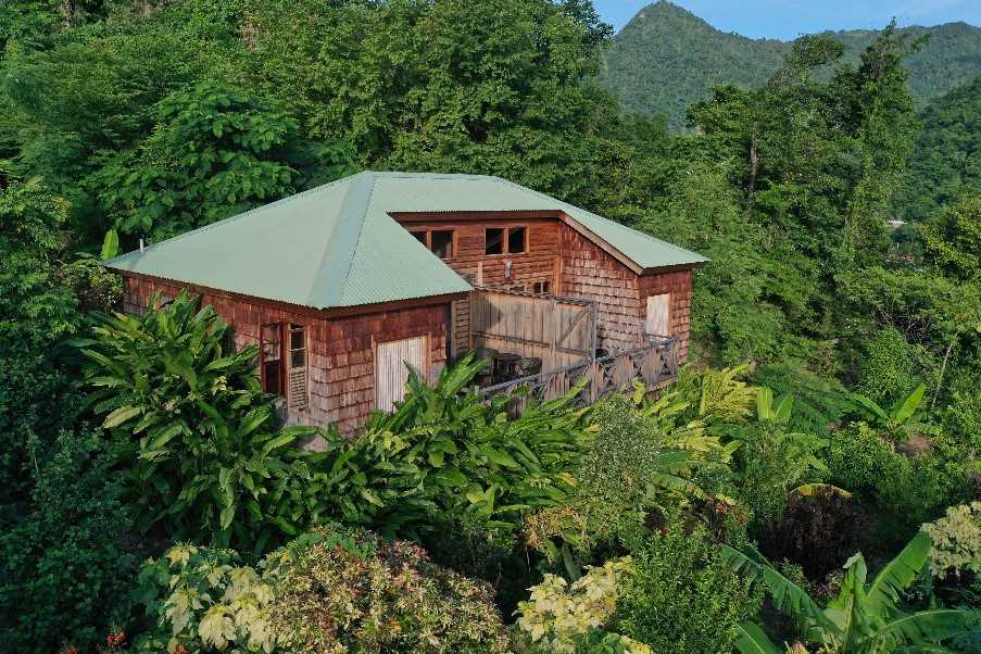 Jungle Bay