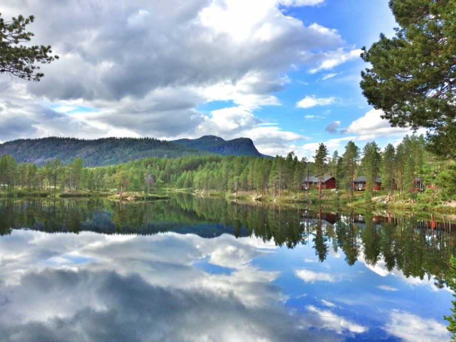 Leaf peeping, Swedish Lapland, Sweden