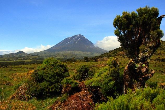 Mount Pico, Pico