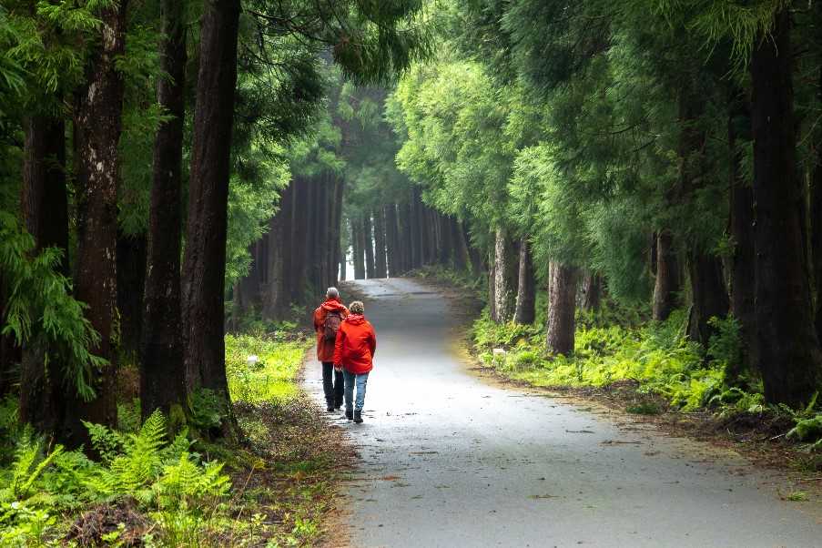 Guided walk on Terceira