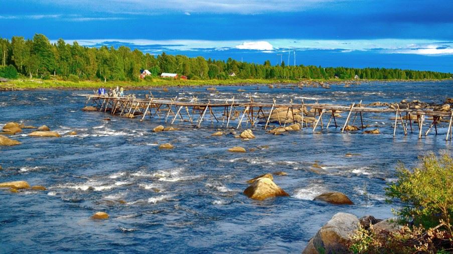 Fishing, Swedish Lapland