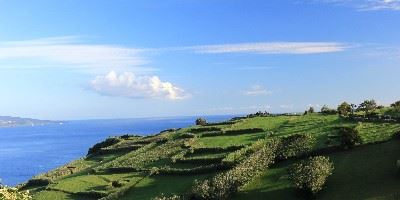 The Azores