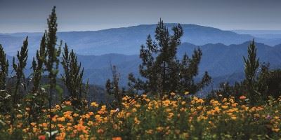 Troodos Mountains, Cyprus