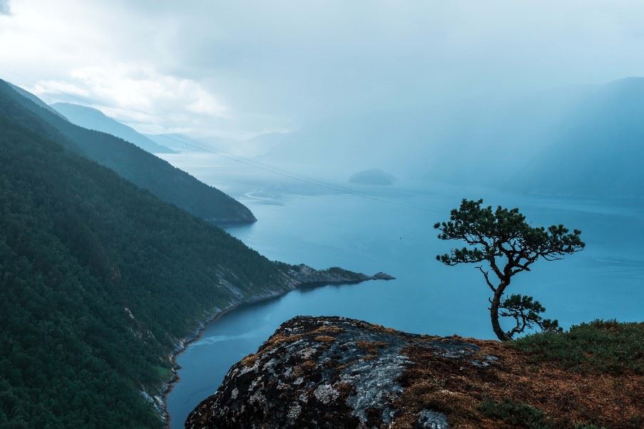 Tingvollfjord, Norway