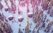 Magical Pond, Rukatunturi, Lapland, Finland