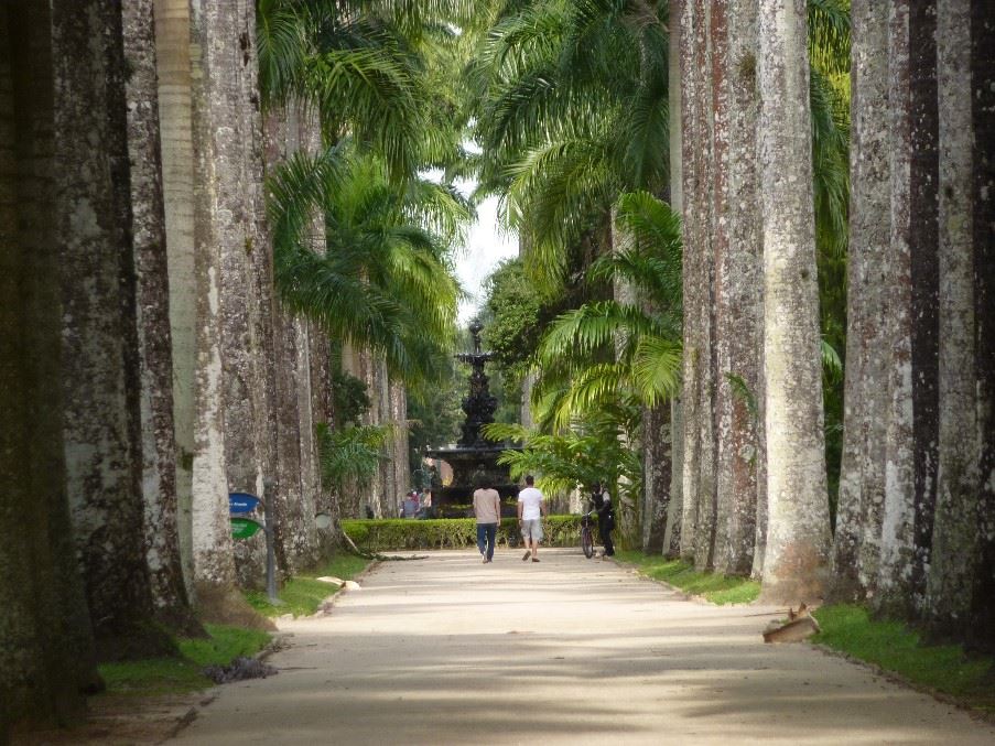 Botanical Gardens, Rio de Janeiro