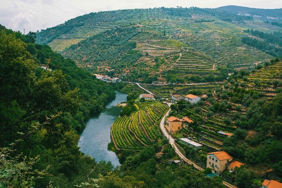 Douro valley, Portugal