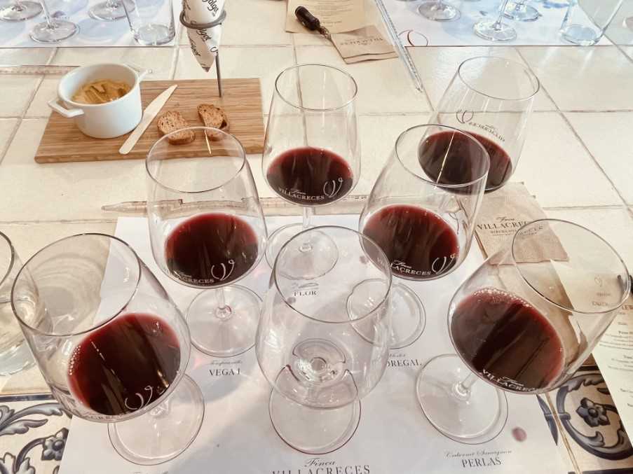 Wine tasting at Finca Villacreces