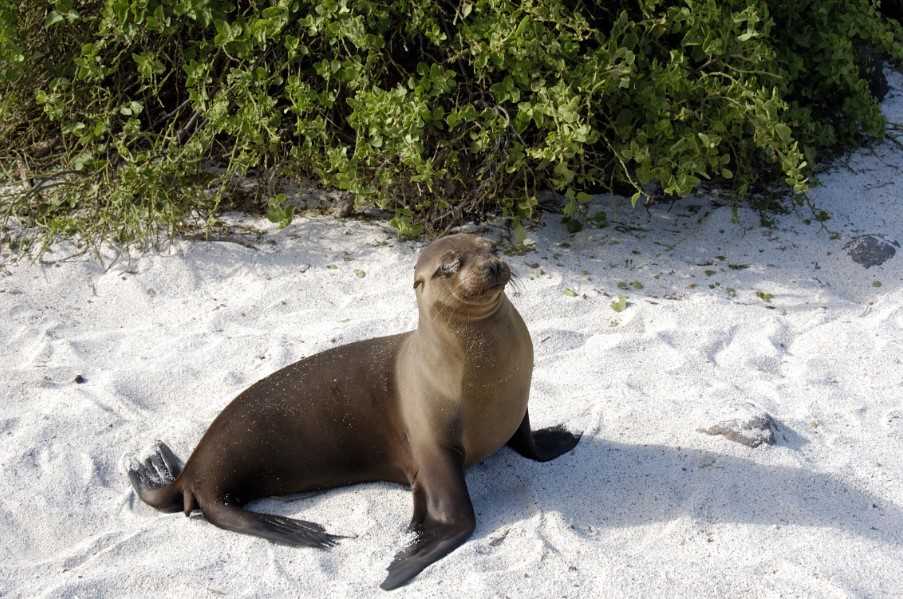 San Cristobal, Galapagos Islands