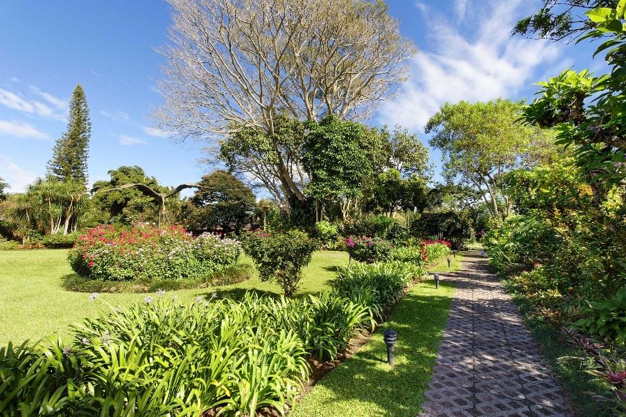 Bougainvillea Hotel, Costa Rica