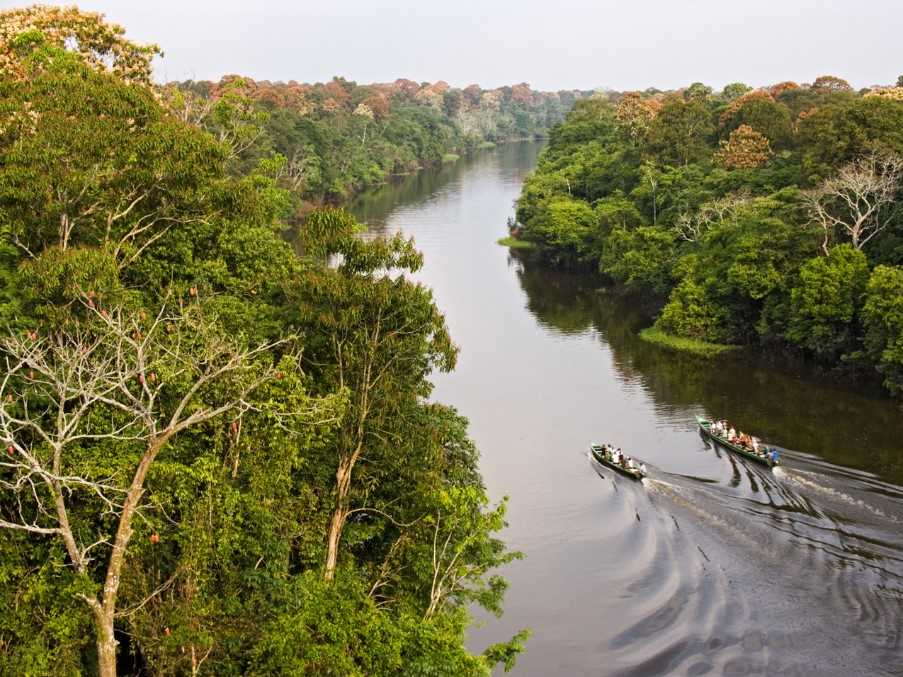 Amazon Brazil