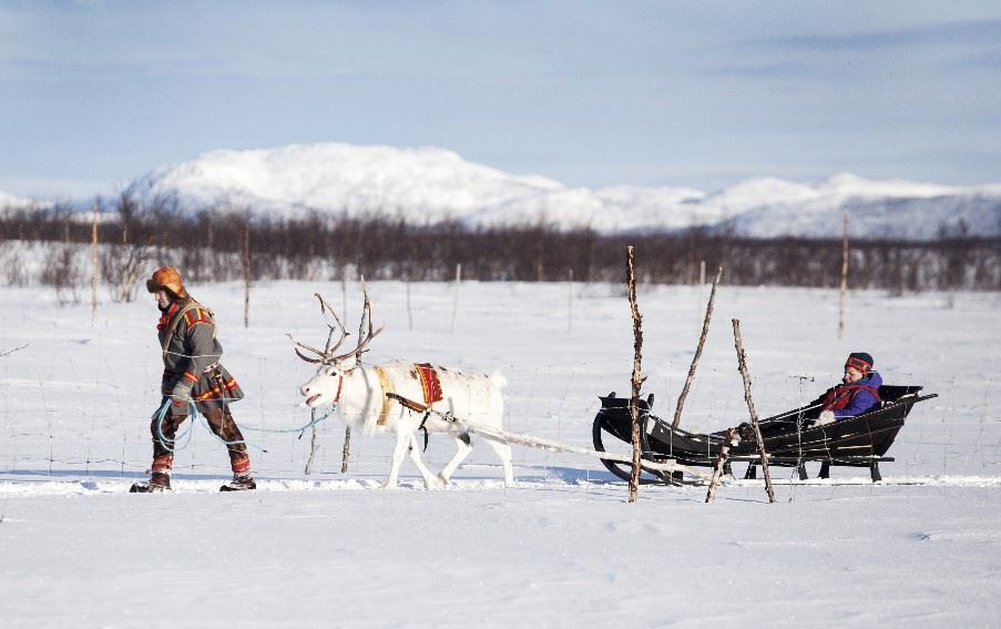 Sami, Swedish Lapland