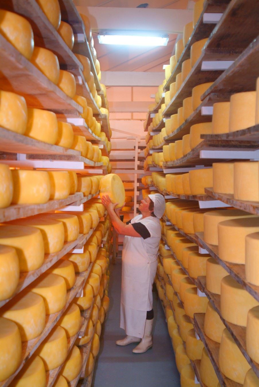 Cheese Factory, Sao Jorge