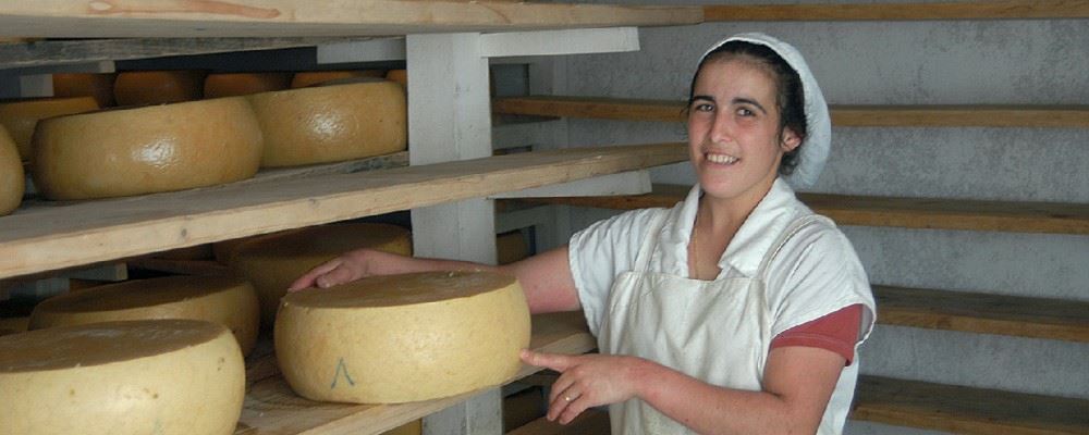 Cheese Factory, Sao Jorge