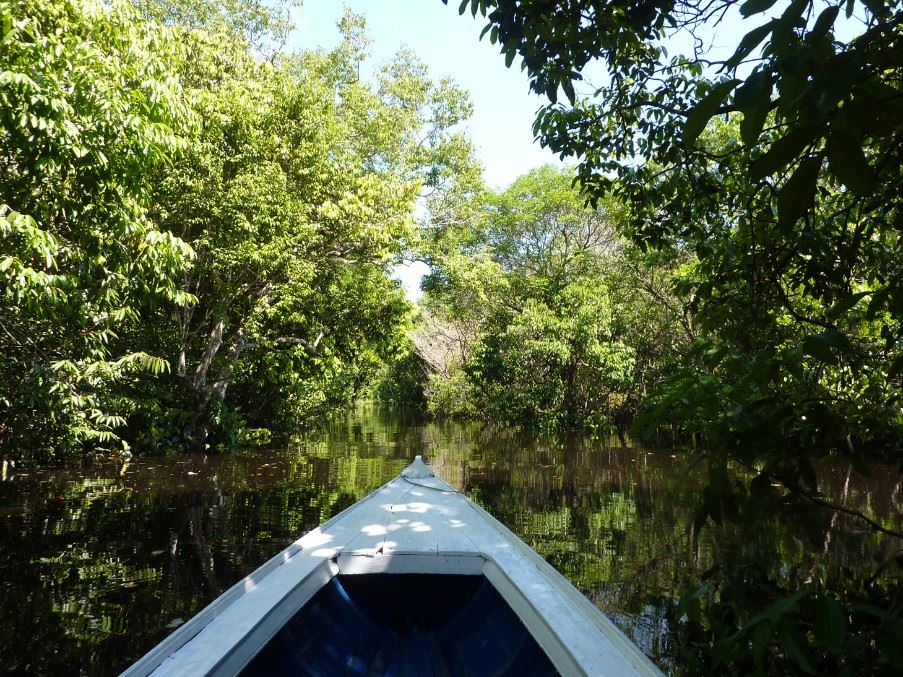 Amazon Basin, Peru