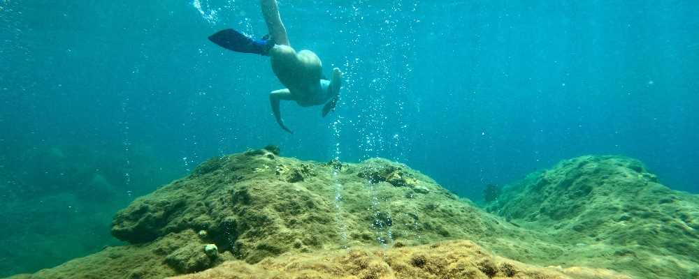 Snorkelling in Dominica
