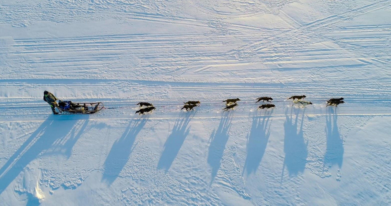 Dog sledding across the Arctic Wilderness, Apukka, Lapland, Finland