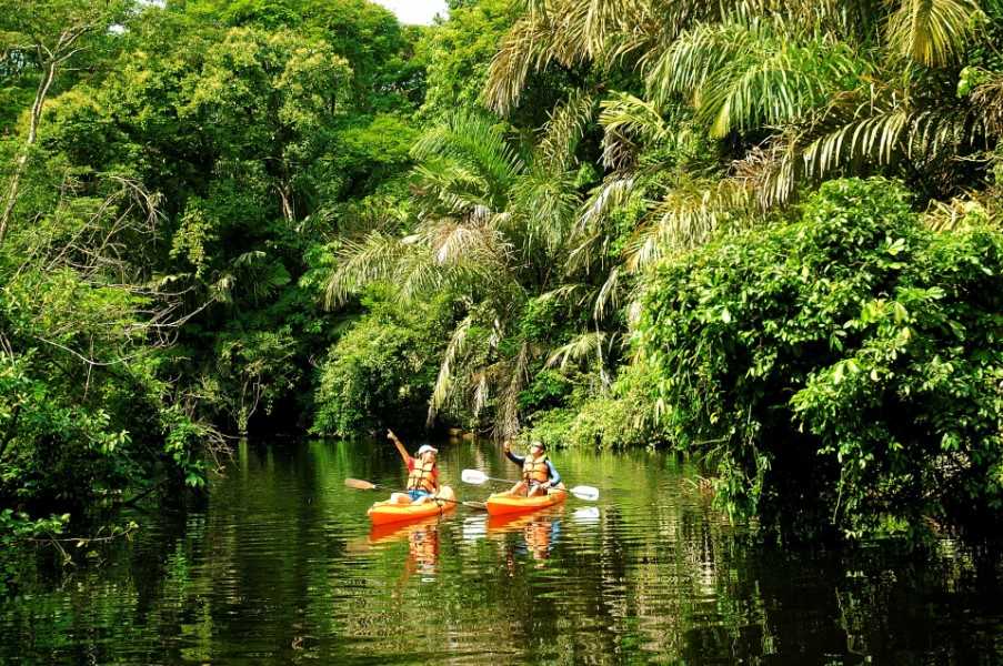 Kayaking in Tortuguero National Park, Costa Rica