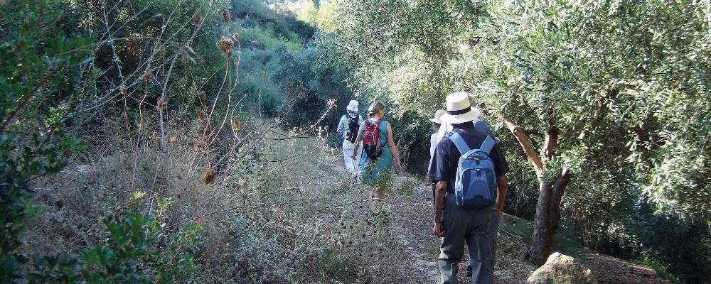 Walking in Crete