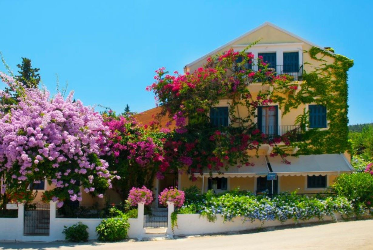 Vassilis Apartment, Fiscardo, Kefalonia Sunvil.co.uk