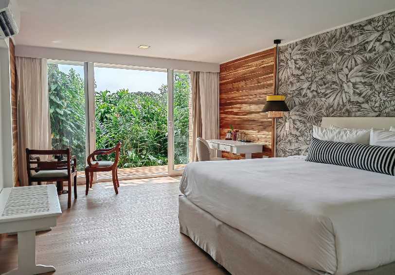 Toucanet Suite
