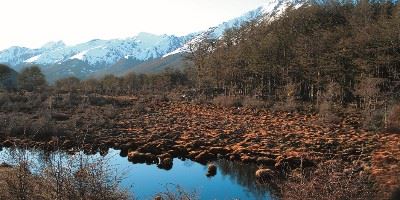 Ushuaia, Argentina