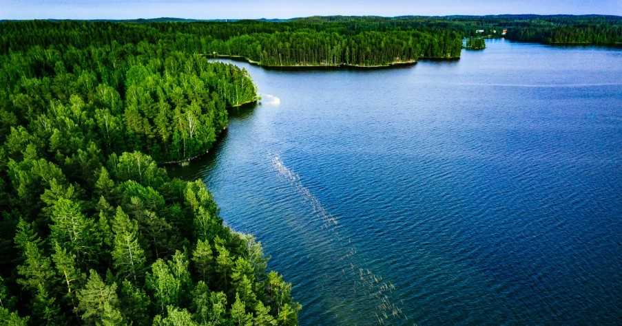 Aerial View of Blue Lake and Green Forest in Finland