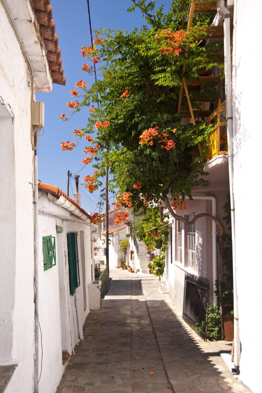 Manolates, Samos