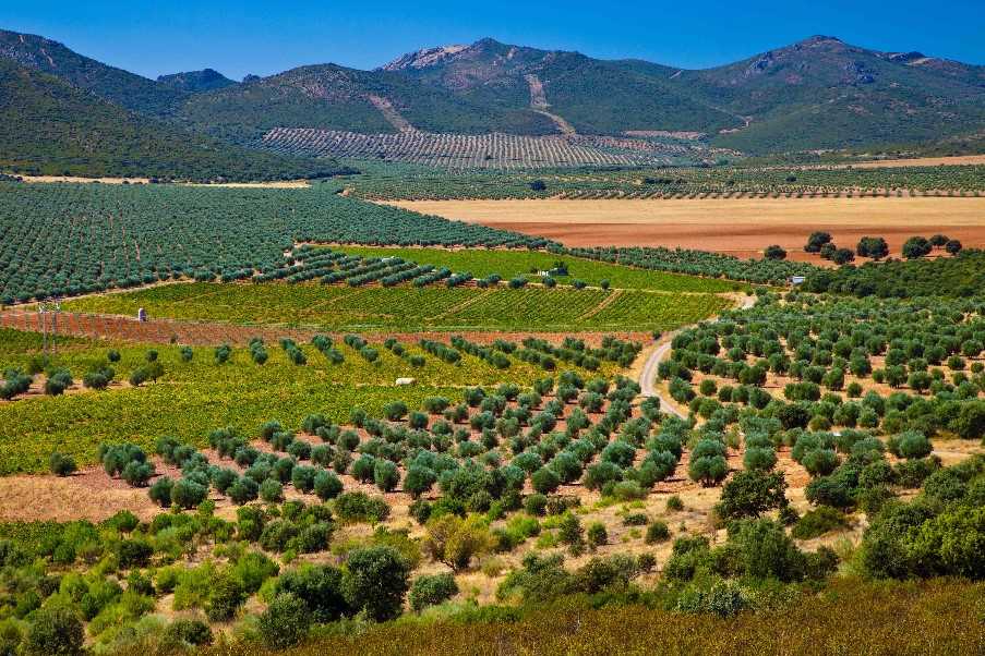 Castilla La Mancha