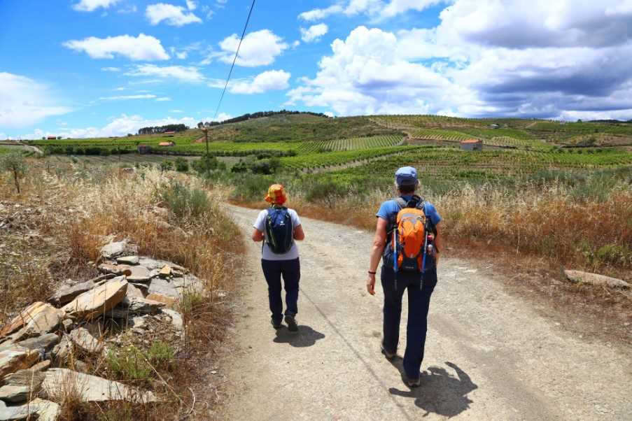 Walking in the Douro International Natural Park