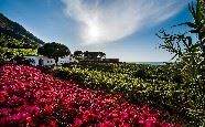 Capofaro Malvasia and Resort, Salina, The Aeolian Islands