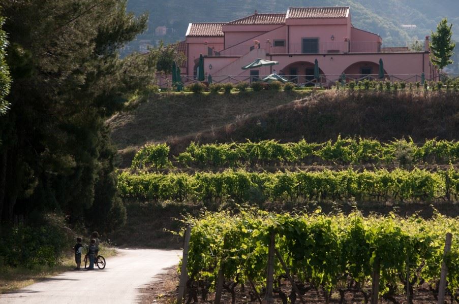 Tenuta San Michele, Santa Venerina, Sicily