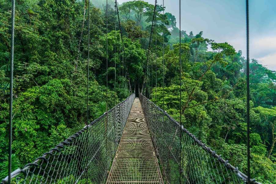 Hanging bridges, Arenal National Park, Costa Rica