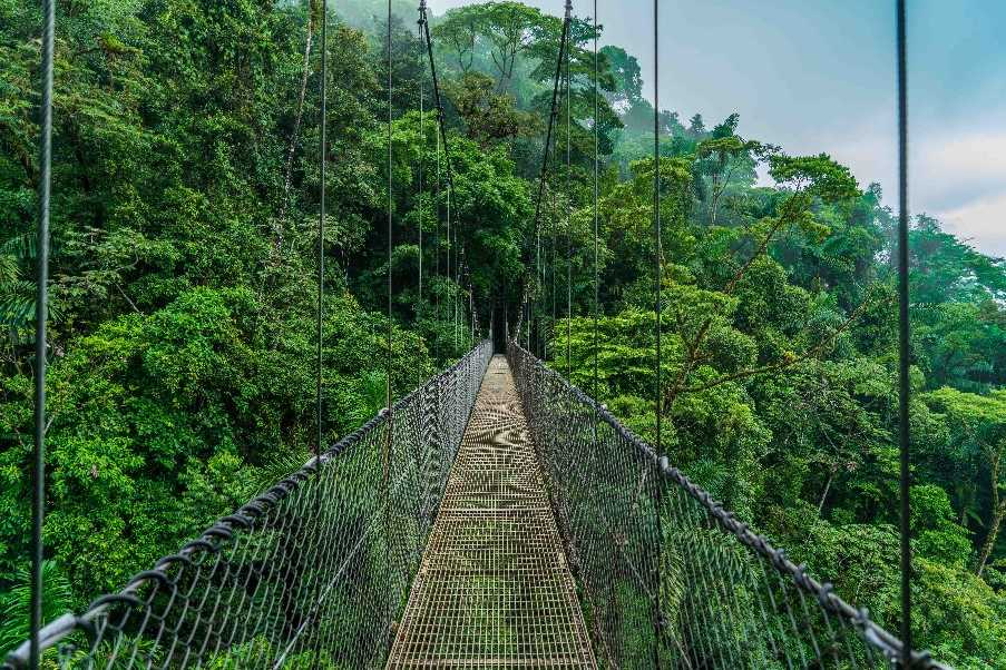 Arenal Hanging Bridge