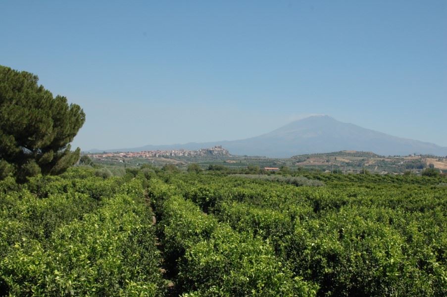 Mount Etna, Sicily