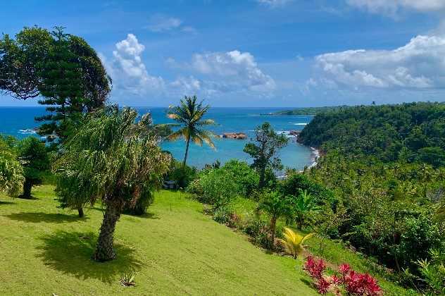 Sea Cliff Eco Cottages and Gin Distillery, Calibishie, Dominica